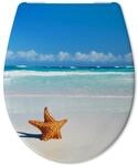 Calmwaters WC Sitz Motiv Seestern Antibakterieller Abnehmbar 26LP6211