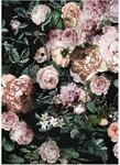 Komar Wandbild Charming Wild 30 x 40 cm