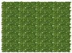 vidaXL Balkonsichtschutz mit Bl&auml;ttern Gr&uuml;n und Gelb 200 x 150 cm 42040647
