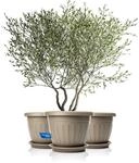 BigDean 3x Blumentopf Mit Untersetzer Rund Durchmesser 50xH38 Cm Mokka Braun