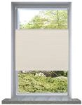 vidaXL Plissee Faltrollo Rollo Plisseerollo 100x150cm Creme