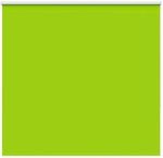 vidaXL Verdunkelungsrollo Gr&uuml;n 150x175cm Stoffbreite 146,6cm Polyester 4011294