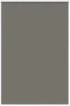 vidaXL Verdunkelungsrollo Grau 160x230cm Stoffbreite 156,6cm Polyester 4011218