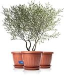 BigDean 3X Blumentopf Mit Untersetzer Rund Durchmesser 50xH38 Cm Terracotta