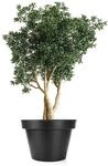 BigDean Blumentopf XXL Durchmesser 60 Cm Classic Anthrazit Mit 360 Grad Rollen