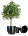 BigDean 2X Blumentopf Style &Oslash; 58 Cm Anthrazit Mit Herausnehmbaren Innentopf