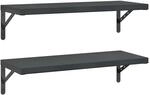 vidaXL Wandregale 2 Stk 75x30 cm Schwarz Edelstahl 3214515