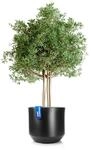 BigDean Blumentopf Style &Oslash; 58 Cm Anthrazit Mit Herausnehmbaren Innentopf