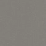 Rasch Vliestapete Salsa 448627 Uni Dunkelgrau 10,05x0,53 m