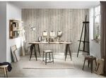 A.S. Cr&eacute;ation Tapete Holzoptik Grau Beige und Creme-Beige 53 cm x 10,05 m AS-959311
