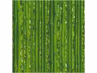 Bricoflor Bambus Tapete Grün Papier Bambustapete Ideal für Flur und...