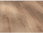 Parador Basic 400 Laminat 8 mm Wasserfest Eiche Geschliffen