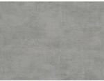 A.S. Cr&eacute;ation Vliestapete Best of Wood&acute;n Stone Uni Betonputz Steingrau FSC&reg;