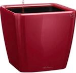 Lechuza&reg; Pflanzgef&auml;&szlig; Quadro Premium LS 22 cm x 22 cm x 21 cm Scarlet Rot