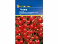 Kiepenkerl Tomaten Cherrola F1-Hybride