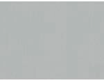A.S.Creation Vliestapete Glatte Wand Grau FSC&reg;