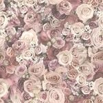 Bricoflor Rosen Tapete in Rosa Vintage Blumentapete im Shabby Chic Ideal f&uuml;r