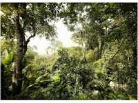 Komar Fototapete Vlies Dschungel 350 x 250 cm
