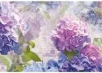 Sanders & Sanders Fototapete Blumen Lila und Blau 368 x 254 cm 612243