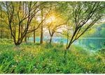 Komar Fototapete Spring Lake 368 cm x 254 cm FSC&reg;