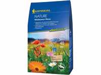 Kiepenkerl Wildblumen-Wiese Profi-Line Nature 250 g