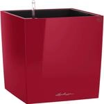 Lechuza&reg; Pflanzgef&auml;&szlig; Cube Premium 40 cm x 40 cm Scarlet Rot hochglanz