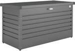 Biohort FreizeitBox 100 Dunkelgrau-Metallic