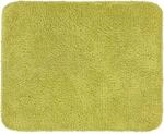 Astra-Kollektion Sauberlaufmatte Entra Saugstark Gr&uuml;n 75 cm x 130 cm