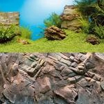 Juwel Aquarium-R&uuml;ckwand Poster 1 S 60 x 30 cm