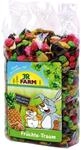 JR Farm Nager-Erg&auml;nzungsfutter Fr&uuml;chte-Traum 200 g