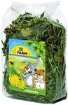 JR Farm Nager-Erg&auml;nzungsfutter L&ouml;wenzahn 100 g