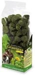 JR Farm Nager-Snack Grainless Drops L&ouml;wenzahn 140 g