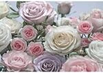 Komar Fototapete Floraison 368 cm x 254 cm FSC&reg;