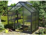 Vitavia Gew&auml;chshaus Apollo 2500 Schwarz 5 m&sup2; inkl. Fundament