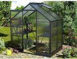 Vitavia Gew&auml;chshaus Apollo 2500 Schwarz 5 m&sup2; inkl. Fundament