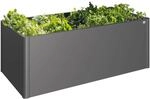 Biohort Hochbeet Metall Dunkelgrau-Metallic 77 cm x 201 cm x 102 cm