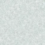 Bricoflor Uni Tapete in Betonoptik Vliestapete mit Beton Design Hellgrau Ideal...