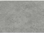 Meister Designboden Cosmopolitan Stone 7320 Premium DB 600 S Steinoptik...