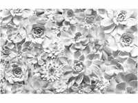Komar Fototapete Vlies Shades Black and White 400 x 250 cm