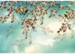 Komar Fototapete Sakura 368 cm x 254 cm FSC&reg;