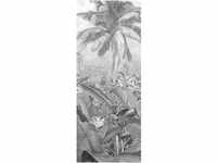 Komar Fototapete Vlies Amazonia Black and White Panel 100 x 250 cm