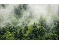 Komar Fototapete Vlies Forest Land 400 x 250 cm