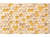 Komar Fototapete Vlies Woodcomb Birch 400 x 250 cm