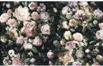 Sanders & Sanders Fototapete Blumen Multicolor Auf Schwarz 400 x 250 cm 611945