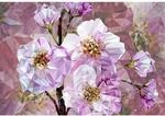 Sanders & Sanders Fototapete Kirschbl&uuml;ten Rosa 368 x 248 cm 612327