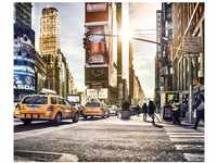Komar Fototapete Vlies Times Square 300 x 250 cm