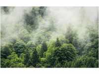 Komar Fototapete Vlies Forest Land 400 x 250 cm