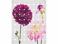 Komar Fototapete Vlies Flowers & Dots 200 x 250 cm