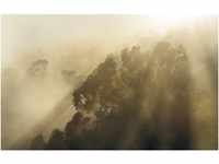 Komar Fototapete Vlies Misty Mountain 400 x 250 cm