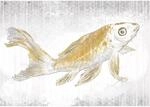 Komar Fototapete Vlies Golden Koi 400 x 280 cm